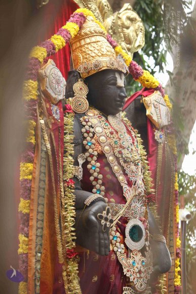 20151124_Photo_1008_IMG_2490_CMP_WM