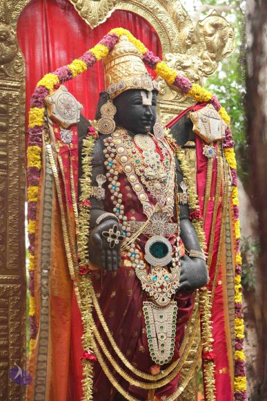 20151124_Photo_1009_IMG_2491_CMP_WM