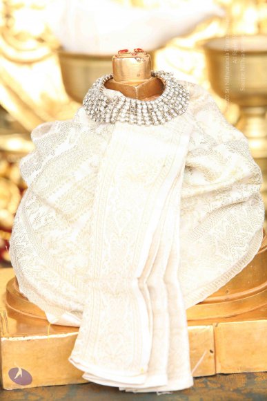 20151124_Photo_1010_IMG_2496_CMP_WM