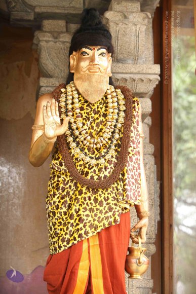 20151124_Photo_1016_IMG_2503_CMP_WM