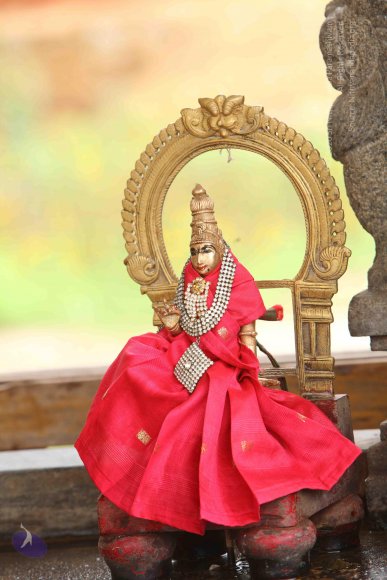 20151124_Photo_1017_IMG_2504_CMP_WM