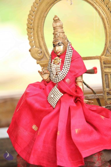 20151124_Photo_1018_IMG_2505_CMP_WM