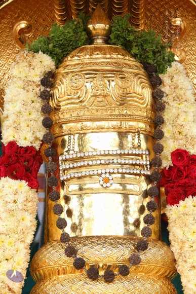 20151124_Photo_1019_IMG_2506_CMP_WM