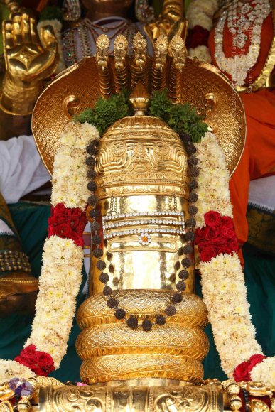 20151124_Photo_1020_IMG_2507_CMP_WM