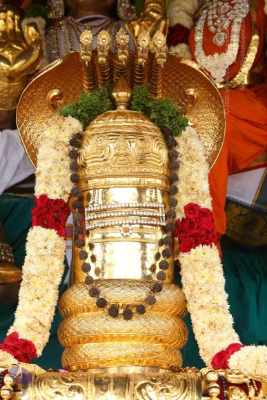 20151124_Photo_1021_IMG_2508_CMP_WM