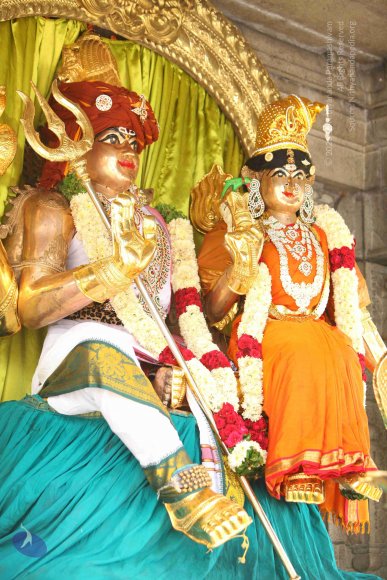 20151124_Photo_1022_IMG_2509_CMP_WM