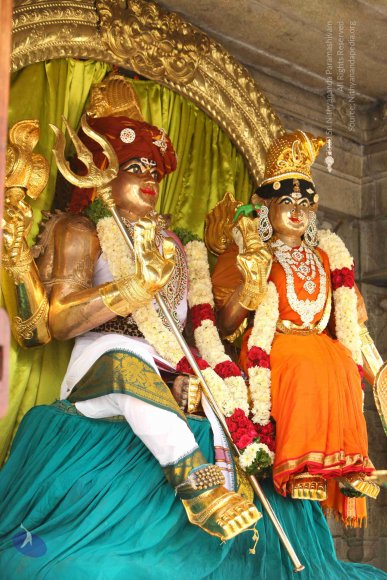 20151124_Photo_1023_IMG_2510_CMP_WM