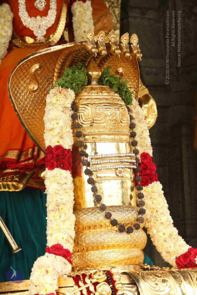 20151124_Photo_1026_IMG_2519_CMP_WM