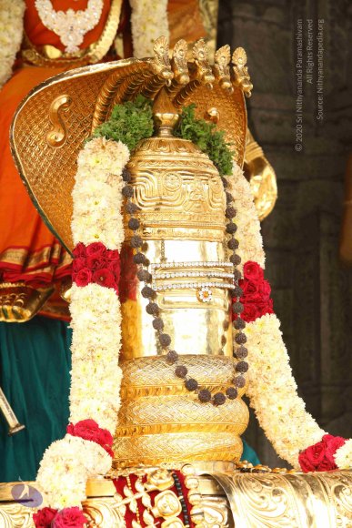 20151124_Photo_1027_IMG_2520_CMP_WM