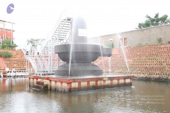 20151116_Photo_1003_IMG_6805_CMP_WM(2)