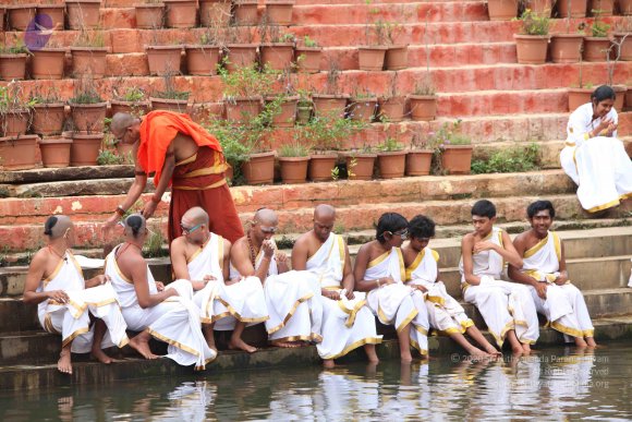 20151116_Photo_1025_IMG_6831_CMP_WM