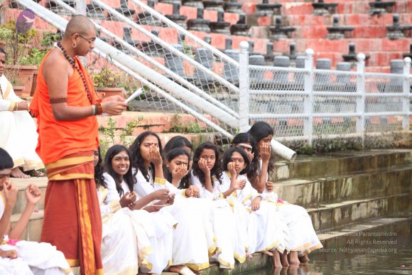 20151116_Photo_1064_IMG_6873_CMP_WM