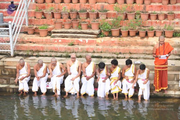 20151116_Photo_1076_IMG_6885_CMP_WM