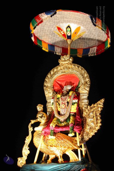 RATHOTSAVAM_Photo_1003_IMG_3794_CMP_WM