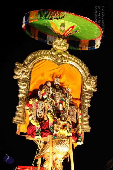 RATHOTSAVAM_Photo_1004_IMG_3797_CMP_WM