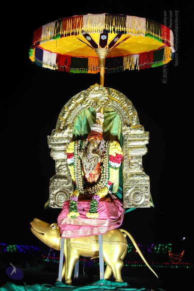 RATHOTSAVAM_Photo_1005_IMG_3800_CMP_WM