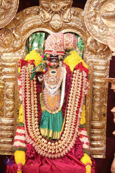 20151018_Photo_1002_IMG_7461_CMP_WM