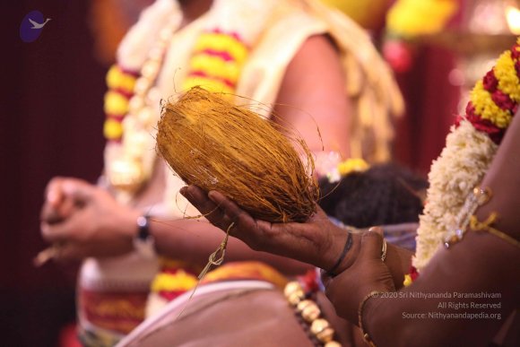 20151018_Photo_1022_IMG_7662_CMP_WM-2