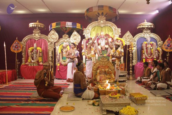 20151018_Photo_1041_IMG_7992_CMP_WM