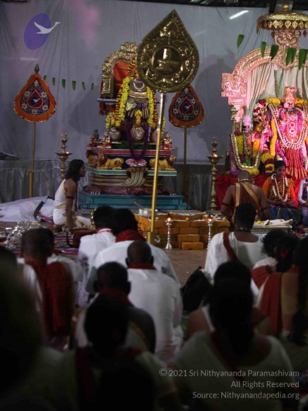 20151021_Photo_1016_IMG_8708_CMP_WM Done