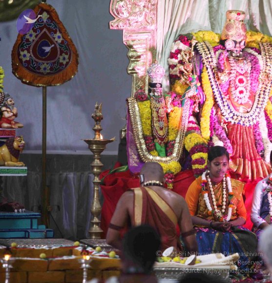 20151021_Photo_1018_IMG_8706_CMP_WM Done