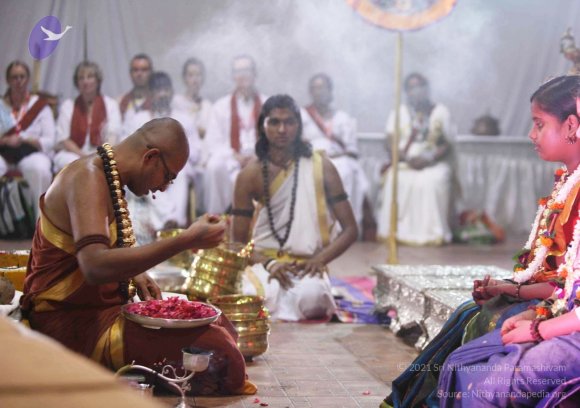 20151021_Photo_1022_IMG_8695_CMP_WM Done