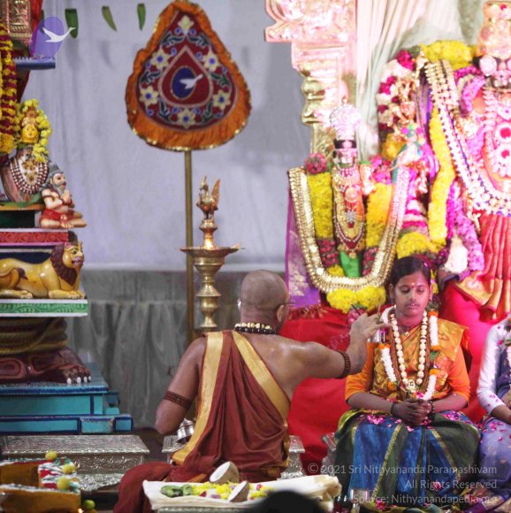 20151021_Photo_1029_IMG_8710_CMP_WM Done