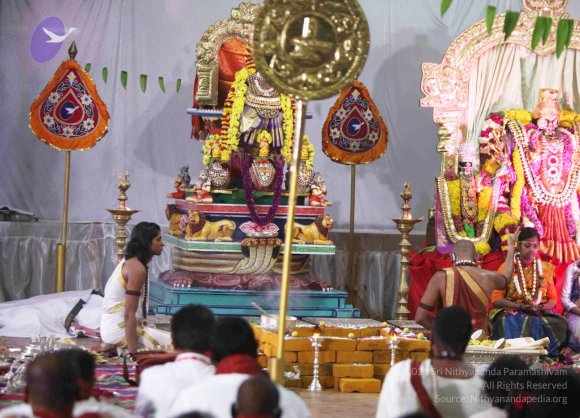 20151021_Photo_1048_IMG_8707_CMP_WM  Done