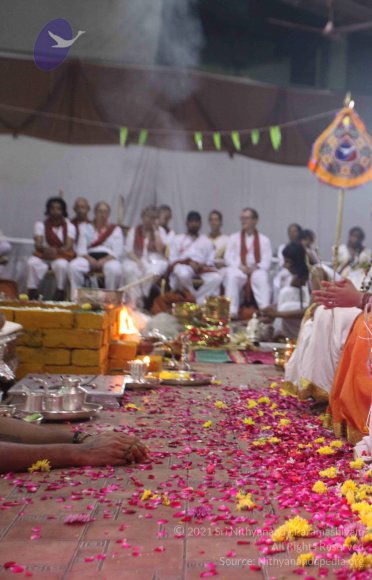 20151021_Photo_1056_IMG_8827_CMP_WM Done