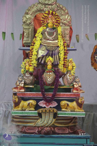 20151021_Photo_1064_IMG_9884_CMP_WM