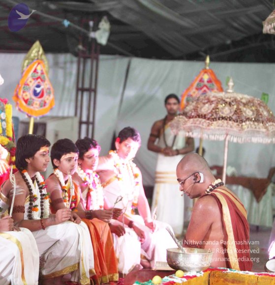 20151021_Photo_1135_IMG_8790_CMP_WM Done