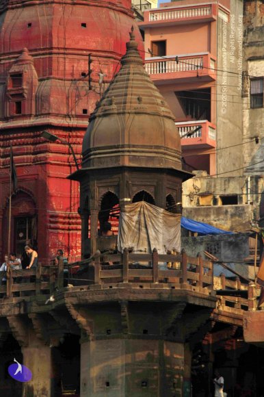 20151002_Photo_1012_IMG_1925_CMP_WM