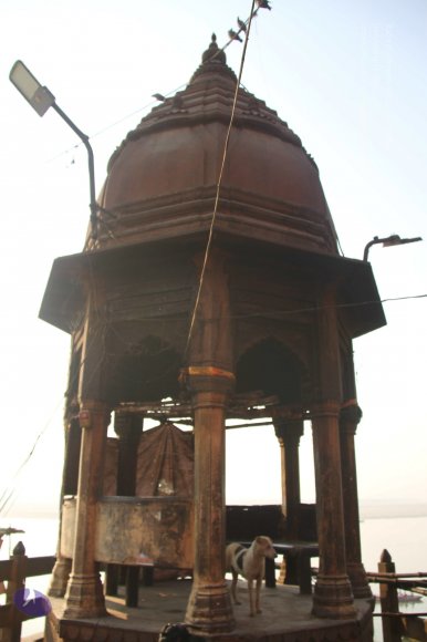 20151002_Photo_1022_IMG_1980_CMP_WM