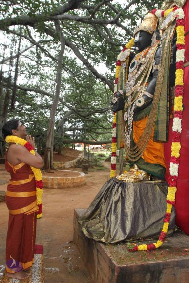 01-DHWAJAROHANAM_Photo_1022_IMG_3397_CMP_WM(1)