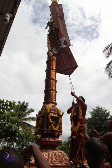 01-DHWAJAROHANAM_Photo_1051_IMG_3435_CMP_WM(1)