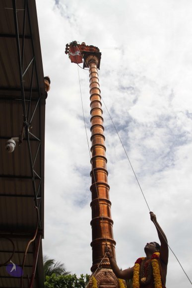 01-DHWAJAROHANAM_Photo_1061_IMG_3442_CMP_WM(1)