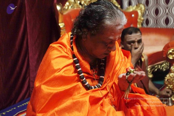 20150914_Photo_1102_IMG_7320_CMP_WM