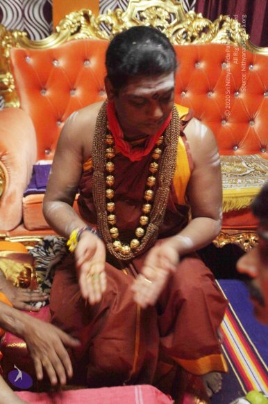 20150914_Photo_1119_IMG_7377_CMP_WM