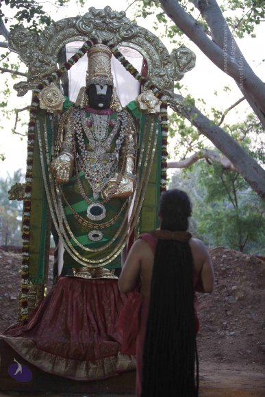 20160401_Photo_1024_IMG_7075_CMP_WM