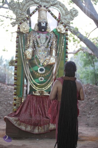 20160401_Photo_1025_IMG_7076_CMP_WM