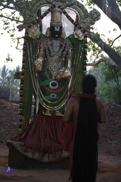 20160401_Photo_1026_IMG_7077_CMP_WM