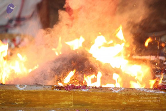 20160401_Photo_1037_IMG_7130_CMP_WM