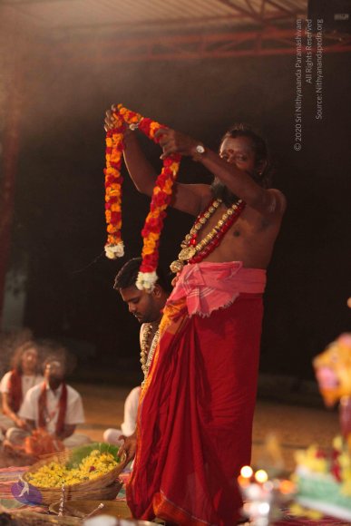 20160401_Photo_1042_IMG_7157_CMP_WM