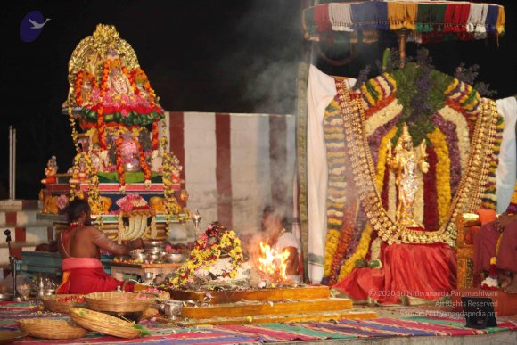 20160401_Photo_1046_IMG_7190_CMP_WM