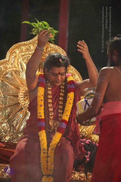 20160401_Photo_1054_IMG_7232_CMP_WM