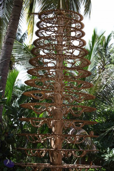 01-Guru-Peyarchi-Temple-Visit_Photo_1006_IMG_8414_CMP_WM