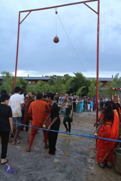 20160825_Photo_1109_IMG_5995_CMP_WM