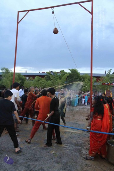 20160825_Photo_1111_IMG_5997_CMP_WM