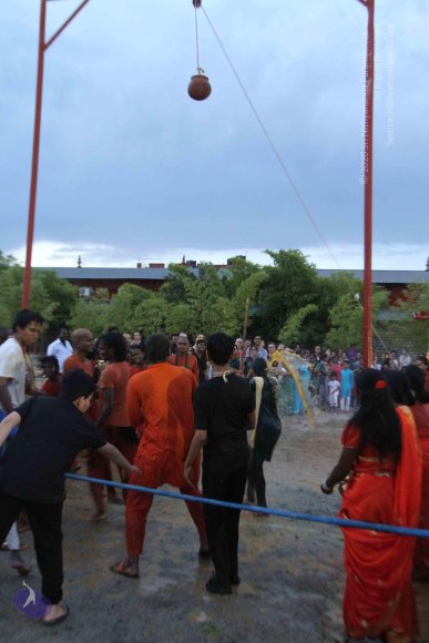 20160825_Photo_1114_IMG_6000_CMP_WM