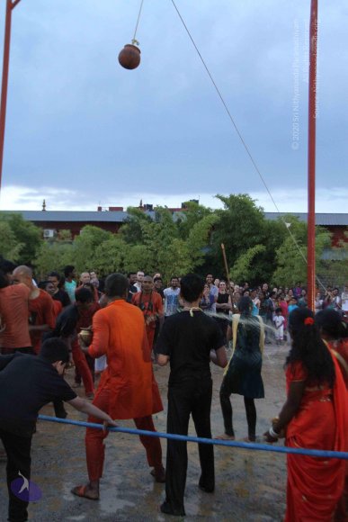 20160825_Photo_1117_IMG_6003_CMP_WM